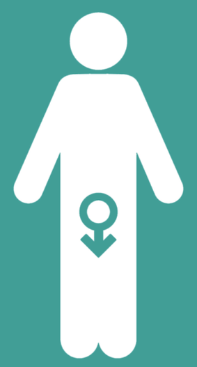 Male fainting and an increase in a member