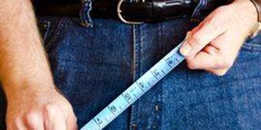 Dimensions of the male sexual organ